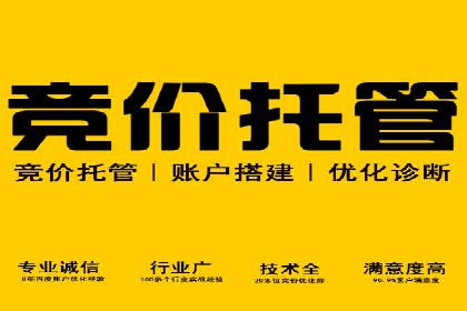 搜索引擎营销（SEM）的未来趋势与案例分析